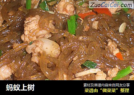 蚂蚁上树