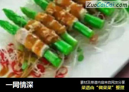 一网情深