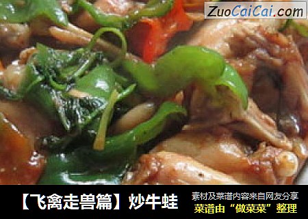 【飞禽走兽篇】炒牛蛙