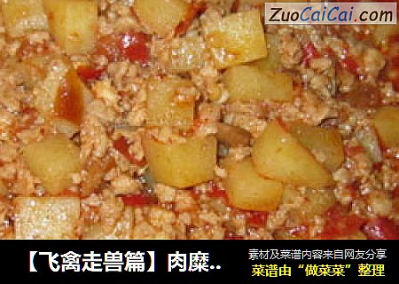 【飞禽走兽篇】肉糜土豆炸酱