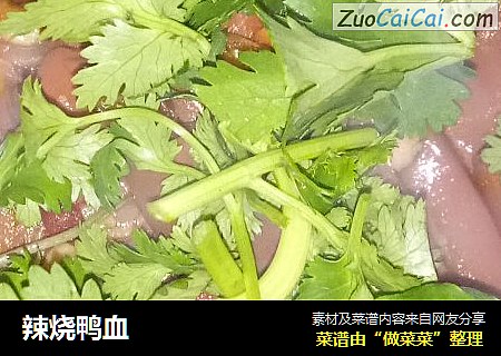 辣烧鸭血