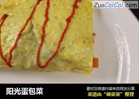 阳光蛋包菜
