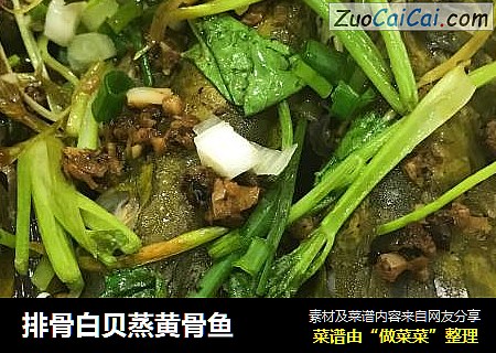 排骨白贝蒸黄骨鱼