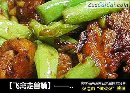 【飞禽走兽篇】——豆角烧鸭