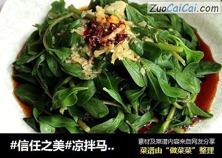 凉拌马齿苋