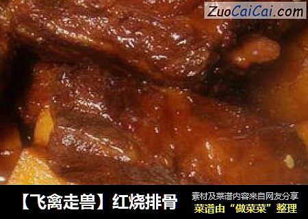 【飞禽走兽】红烧排骨