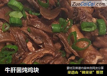 牛肝菌炖鸡块