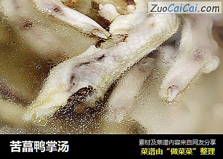 苦蕌鸭掌汤