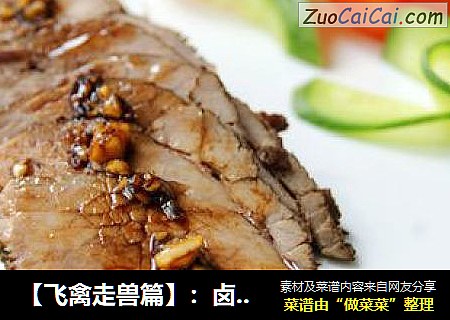 【飞禽走兽篇】：卤牛肉