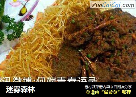 迷雾森林