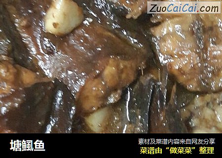 塘鲺鱼