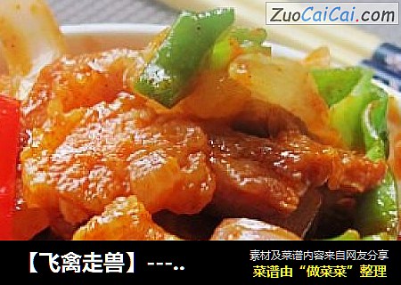 【飞禽走兽】---韩式辣炒猪肉