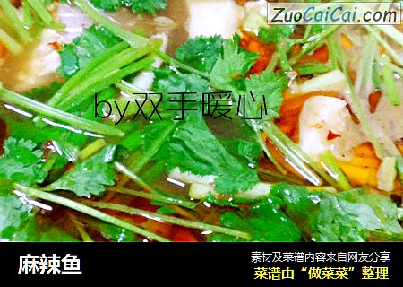 麻辣鱼