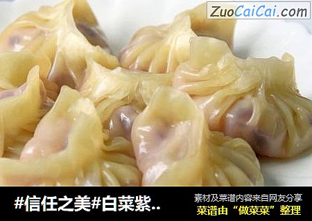 白菜紫甘蓝猪肉饺子