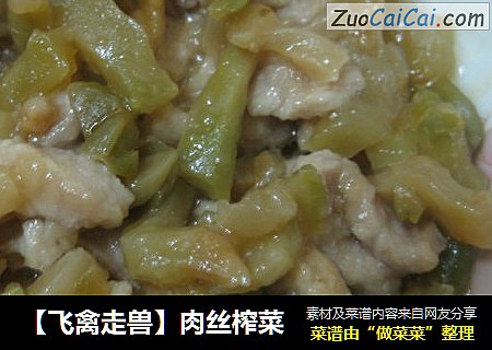 【飞禽走兽】肉丝榨菜