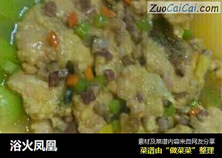 浴火凤凰