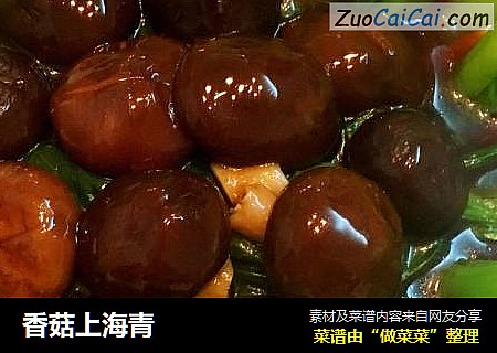 香菇上海青