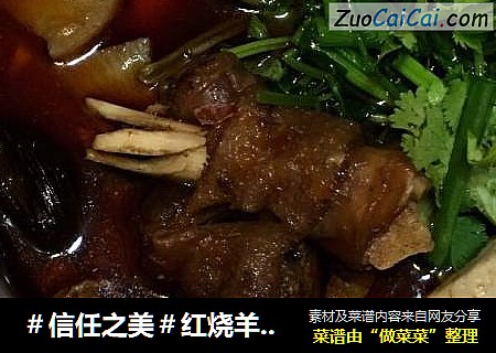红烧羊肉汤锅