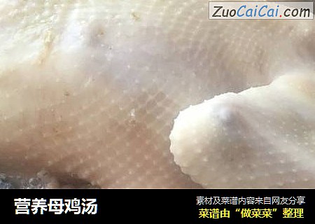 营养母鸡汤