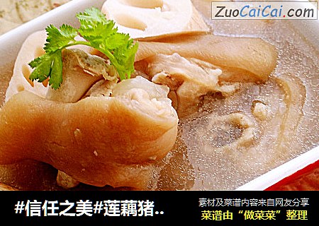 莲藕猪蹄汤