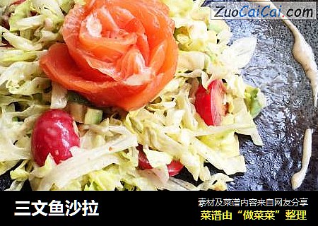 三文鱼沙拉