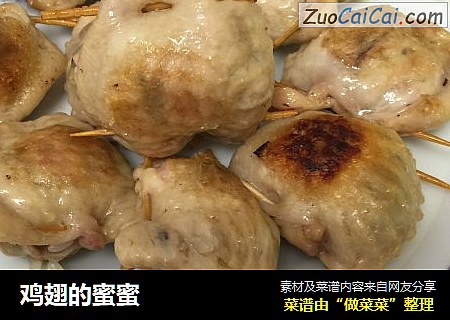 鸡翅的蜜蜜