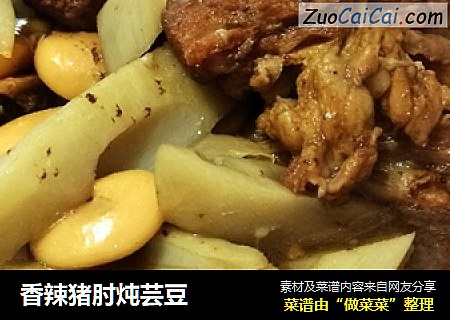 香辣猪肘炖芸豆