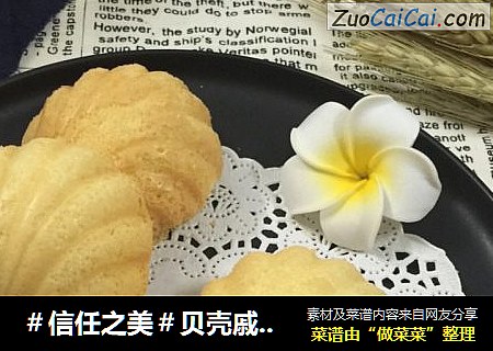 贝壳戚风#东菱烤立方#