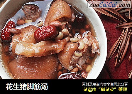 花生猪脚筋汤