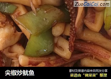 尖椒炒鱿鱼