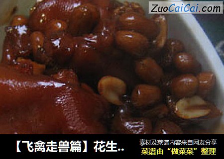 【飞禽走兽篇】花生猪手