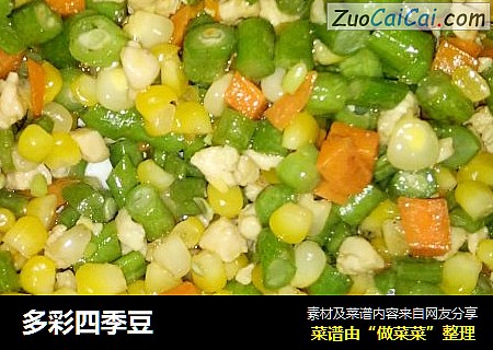 多彩四季豆