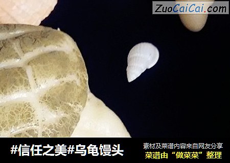 乌龟馒头