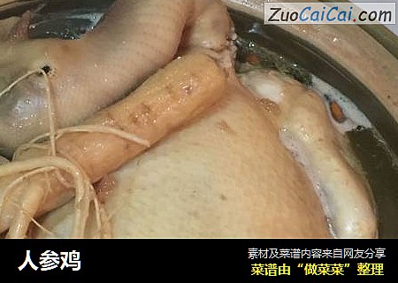 人参鸡