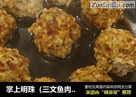 掌上明珠（三文鱼肉圆）