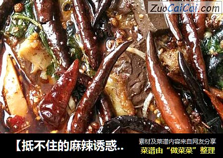 【抵不住的麻辣诱惑】毛血旺