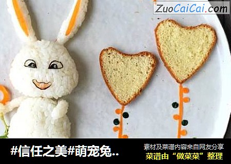萌宠兔子饭团
