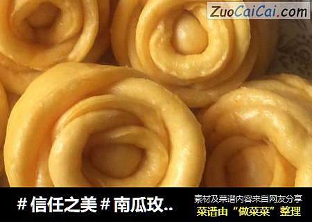 南瓜玫瑰花