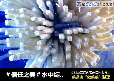 水中绽放的白菊——千丝万缕豆腐花