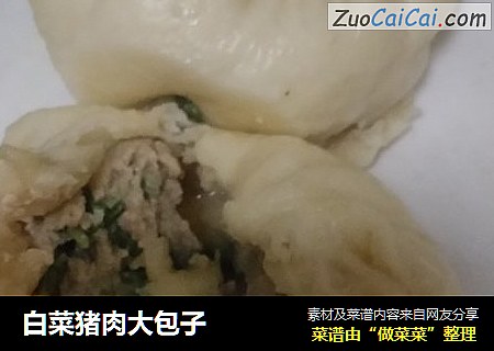 白菜猪肉大包子