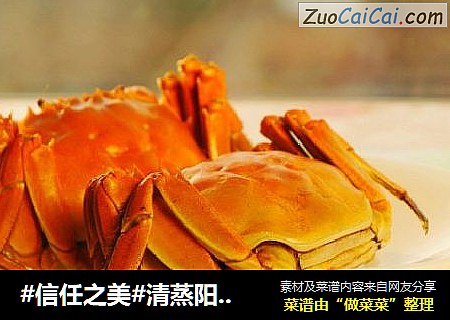 清蒸阳澄湖大闸蟹