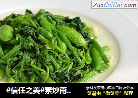 素炒南瓜尖儿