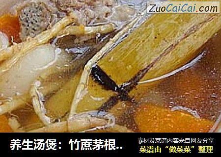 养生汤煲：竹蔗茅根胡萝卜汤