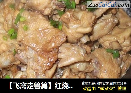 【飞禽走兽篇】红烧面筋鸡翅