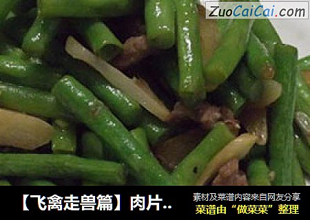 【飞禽走兽篇】肉片炒豆角