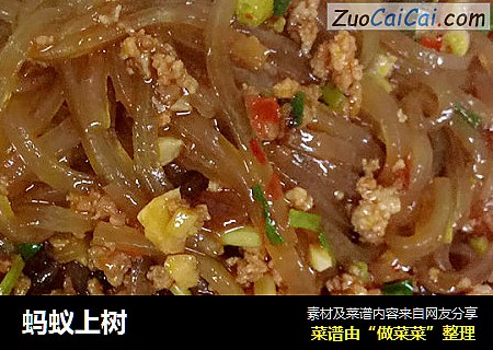 蚂蚁上树