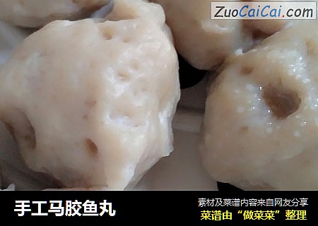 手工马胶鱼丸