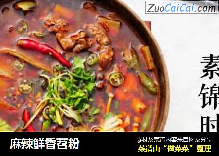 麻辣鲜香苕粉