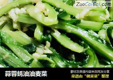 蒜蓉蚝油油麦菜