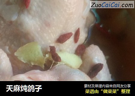 天麻炖鸽子